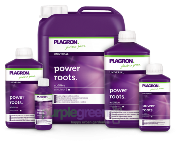 Plagron Power Roots purplegreen Linz